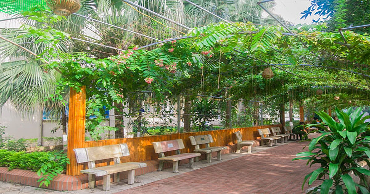Cách tra cứu kết quả thi VSTEP Học viện cảnh sát nhân dân