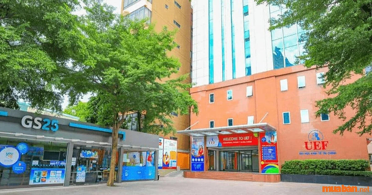 Khóa học ôn thi VSTEP hiệu quả tại trường đại học kinh tế - Tài chính tp.hcm