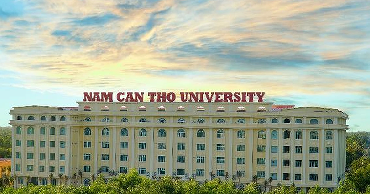 Lịch thi VSTEP trường đại học nam cần thơ năm 2026