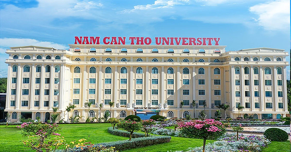 Cách tra cứu kết quả thi VSTEP trường đại học nam cần thơ