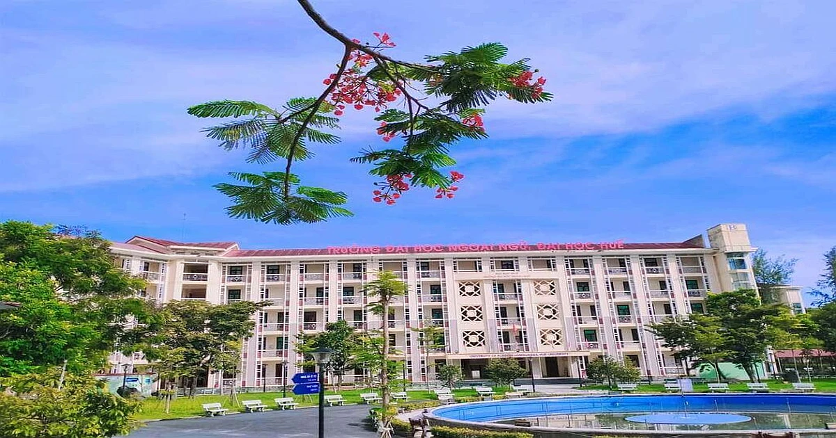 Khóa học ôn thi VSTEP hiệu quả tại trường đại học ngoại ngữ - đại học huế