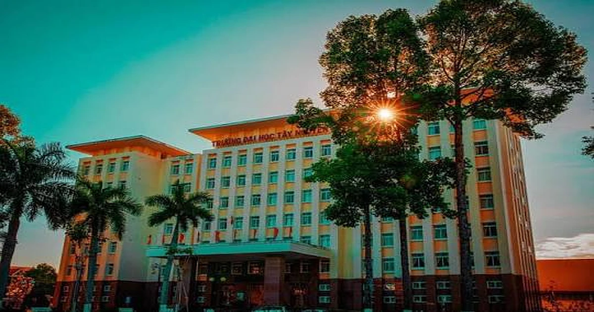 Khóa học ôn thi VSTEP hiệu quả nhất tại trường đại học Tây Nguyên (ttn)