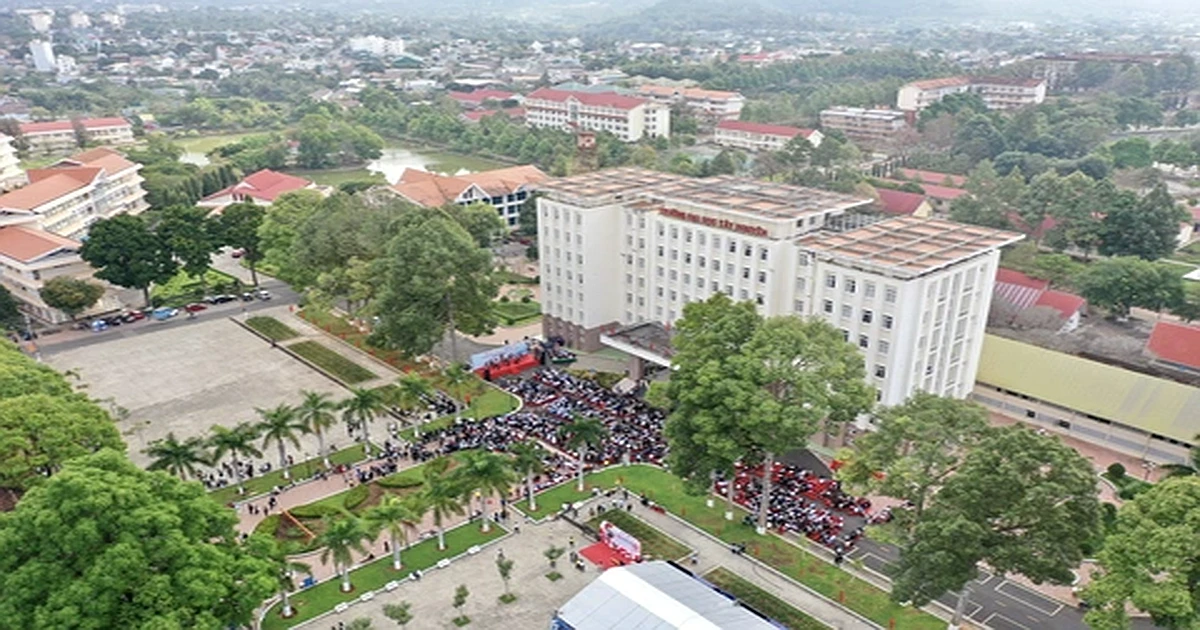 Kinh nghiệm thi VSTEP từ a-z tại trường đại học Tây Nguyên (ttn)