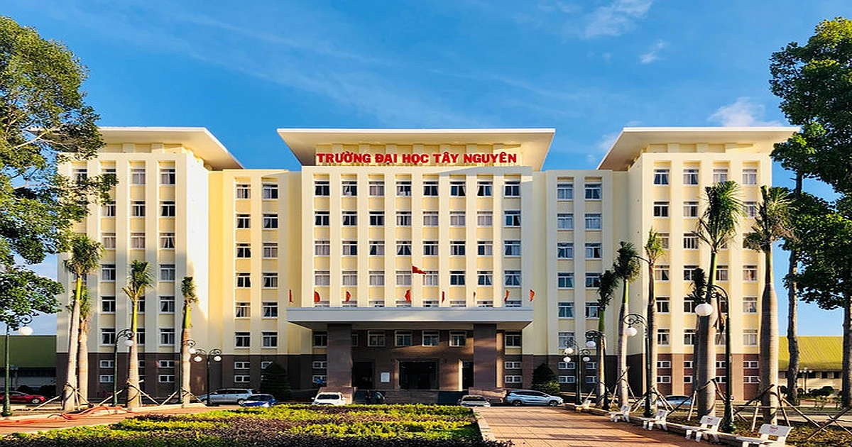 Hướng dẫn chi tiết tra cứu kết quả thi VSTEP tại trường đại học Tây Nguyên (ttn)