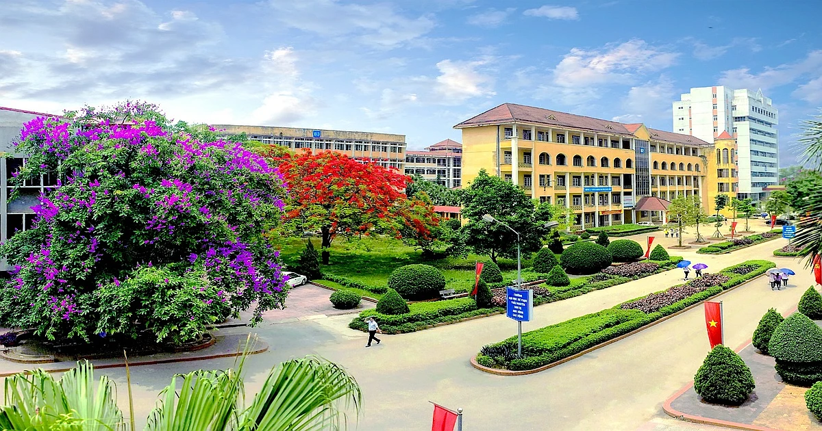 Khóa học ôn thi kỳ thi VSTEP tại Đại học Thái Nguyên