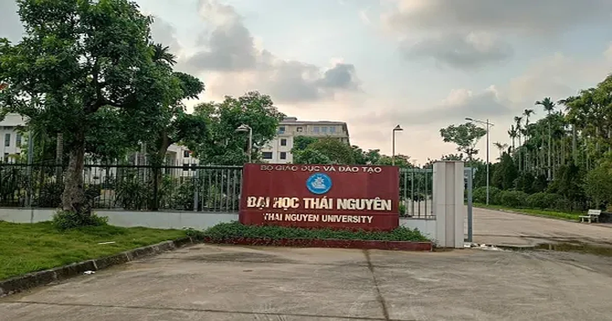 Kinh nghiệm thi kỳ thi VSTEP tại Đại học Thái Nguyên